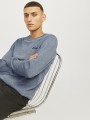 JJBRAD KNIT CREW NECK AW24